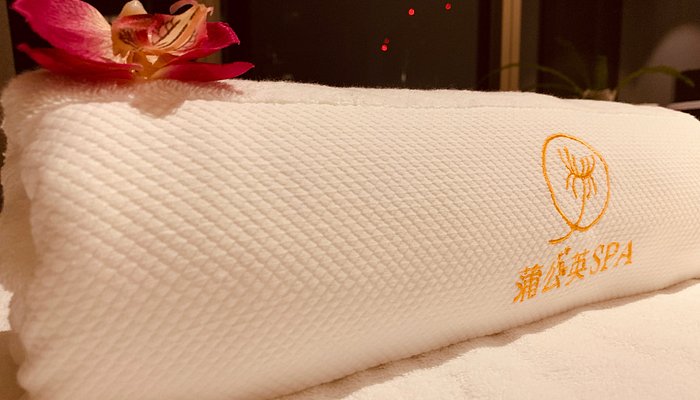 蒲公英Spa